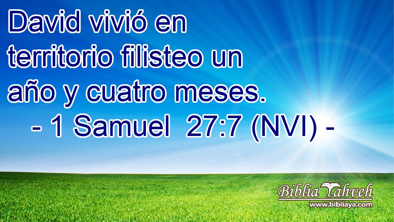  David vivió en territorio filisteo un año y cuatro meses. 