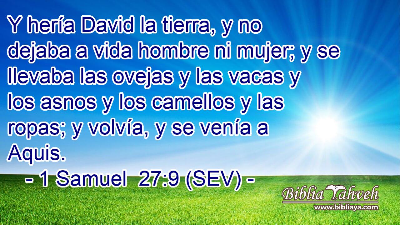 Y hería David la tierra, y no dejaba a vida hombre ni mujer; y se llevaba las ovejas y las vacas y los asnos y los camellos y las ropas; y volvía, y se venía a Aquis.