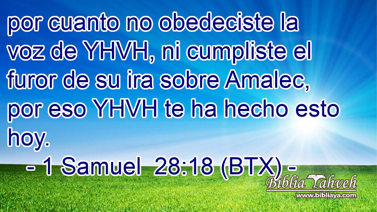 por cuanto no obedeciste la voz de YHVH, ni cumpliste el furor de su ira sobre Amalec, por eso YHVH te ha hecho esto hoy.