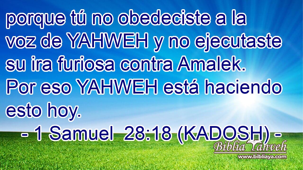  porque tú no obedeciste a la voz de YAHWEH y no ejecutaste su ira furiosa contra Amalek. Por eso YAHWEH está haciendo esto hoy. 