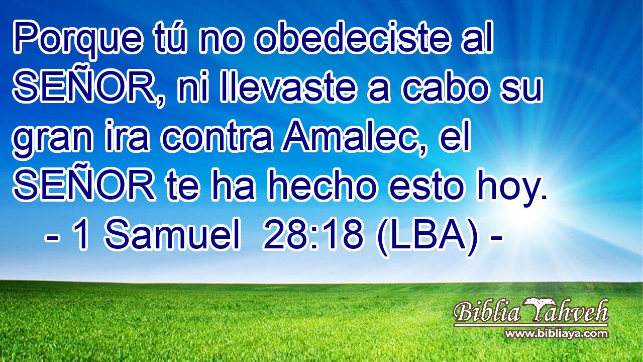Porque tú no obedeciste al SEÑOR, ni llevaste a cabo su gran ira contra Amalec, el SEÑOR te ha hecho esto hoy.