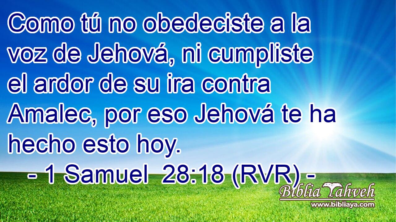 Como tú no obedeciste a la voz de Jehová, ni cumpliste el ardor de su ira contra Amalec, por eso Jehová te ha hecho esto hoy.