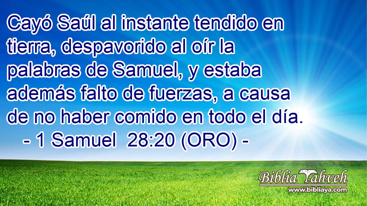  Cayó Saúl al instante tendido en tierra, despavorido al oír la palabras de Samuel, y estaba además falto de fuerzas, a causa de no haber comido en todo el día. 