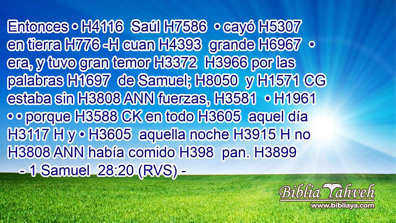 Entonces • H4116  Saúl H7586  • cayó H5307  en tierra H776 -H cuan H4393  grande H6967  • era, y tuvo gran temor H3372  H3966 por las palabras H1697  de Samuel; H8050  y H1571 CG estaba sin H3808 ANN fuerzas, H3581  • H1961  • • porque H3588 CK en todo H3605  aquel día H3117 H y • H3605  aquella noche H3915 H no H3808 ANN había comido H398  pan. H3899  