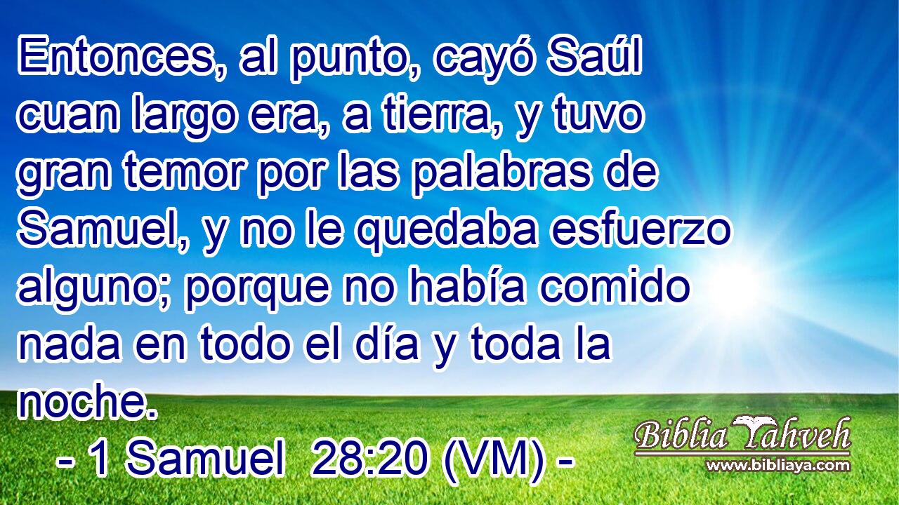  Entonces, al punto, cayó Saúl cuan largo era, a tierra, y tuvo gran temor por las palabras de Samuel, y no le quedaba esfuerzo alguno; porque no había comido nada en todo el día y toda la noche. 
