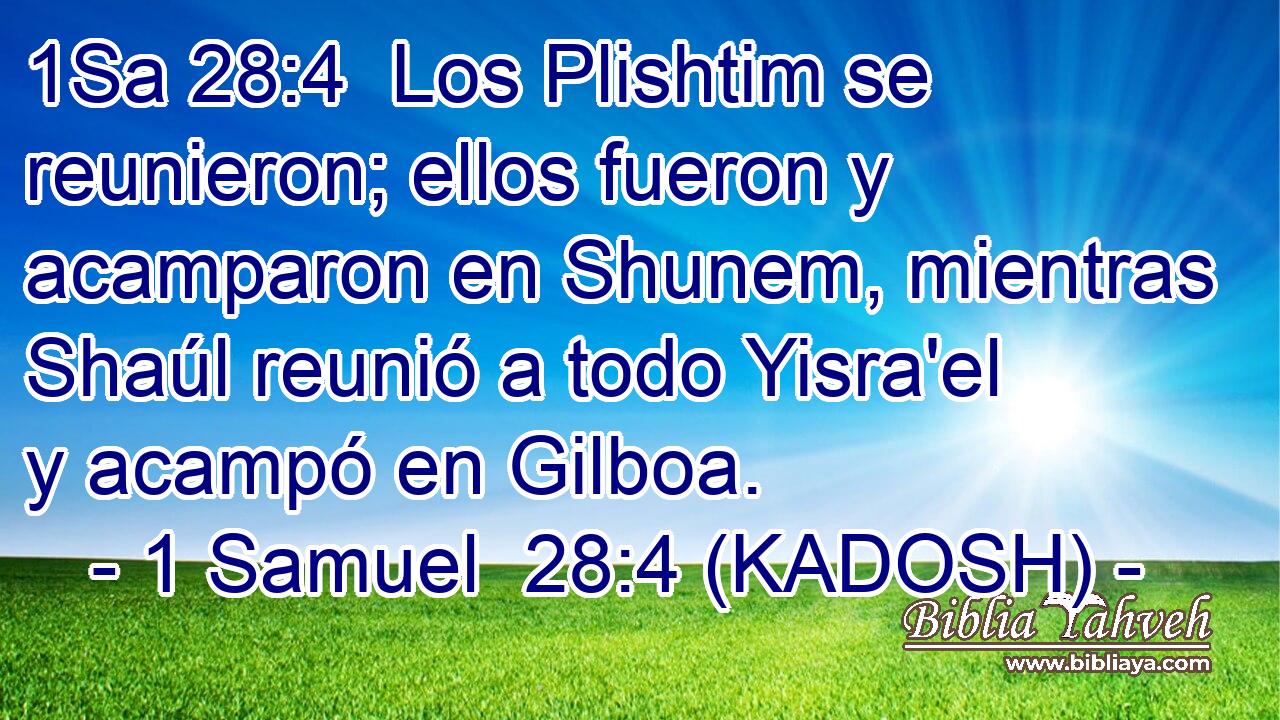  Los Plishtim se reunieron; ellos fueron y acamparon en Shunem, mientras Shaúl reunió a todo Yisra'el y acampó en Gilboa. 