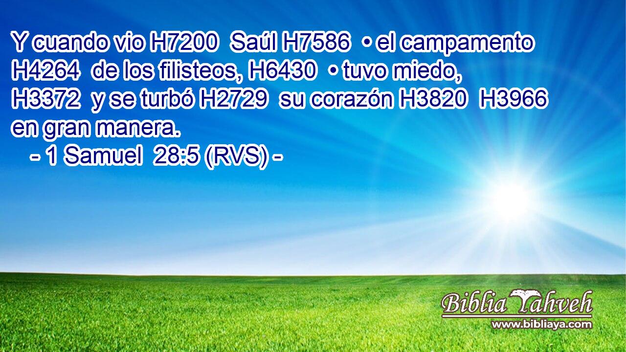 Y cuando vio H7200  Saúl H7586  • el campamento H4264  de los filisteos, H6430  • tuvo miedo, H3372  y se turbó H2729  su corazón H3820  H3966 en gran manera. 