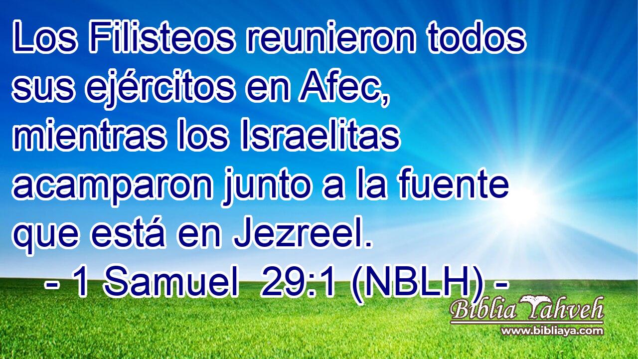  Los Filisteos reunieron todos sus ejércitos en Afec, mientras los Israelitas acamparon junto a la fuente que está en Jezreel. 