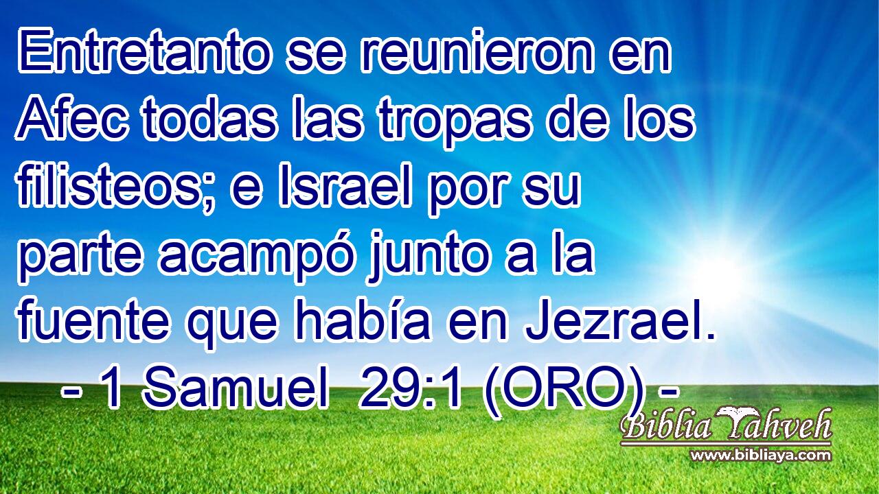  Entretanto se reunieron en Afec todas las tropas de los filisteos; e Israel por su parte acampó junto a la fuente que había en Jezrael. 
