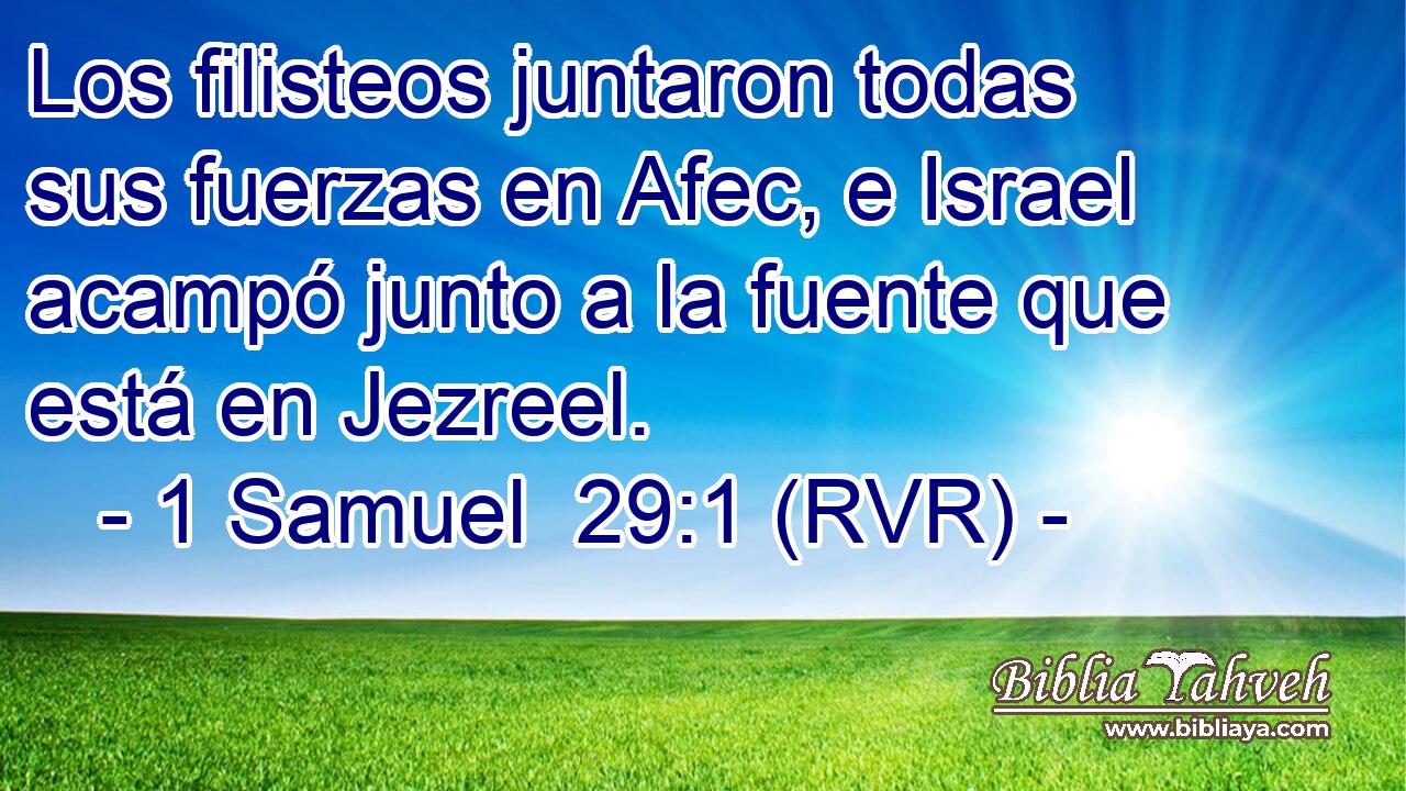 Los filisteos juntaron todas sus fuerzas en Afec, e Israel acampó junto a la fuente que está en Jezreel.