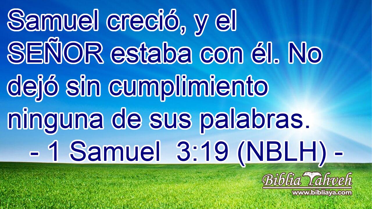  Samuel creció, y el SEÑOR estaba con él. No dejó sin cumplimiento ninguna de sus palabras. 