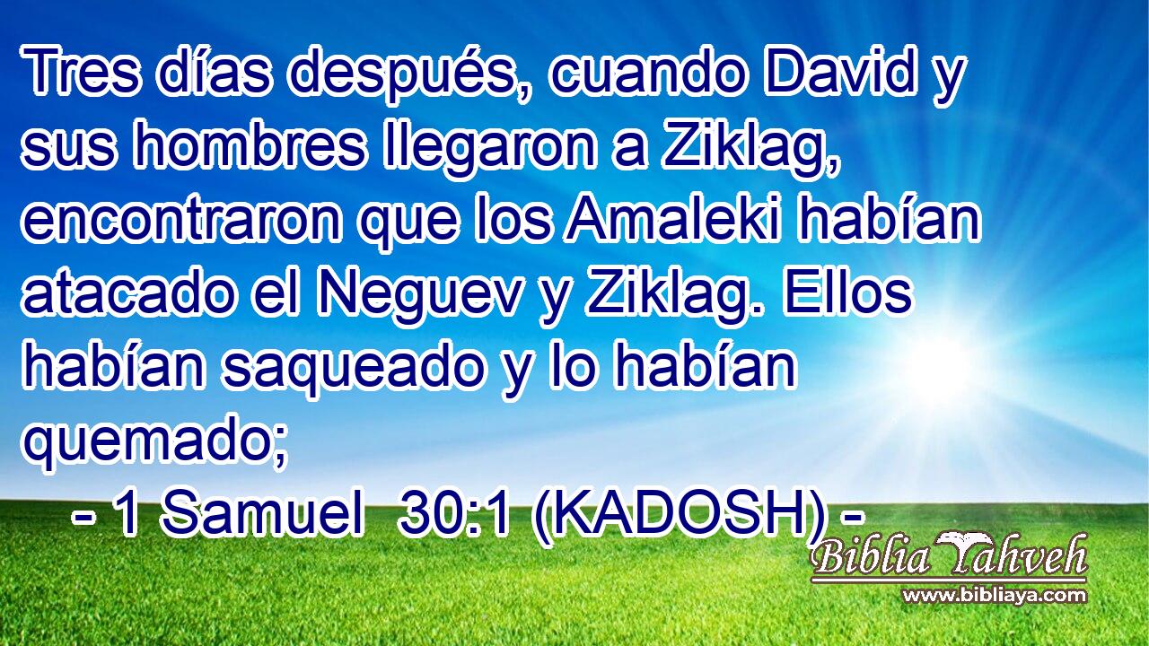  Tres días después, cuando David y sus hombres llegaron a Ziklag, encontraron que los Amaleki habían atacado el Neguev y Ziklag. Ellos habían saqueado y lo habían quemado; 