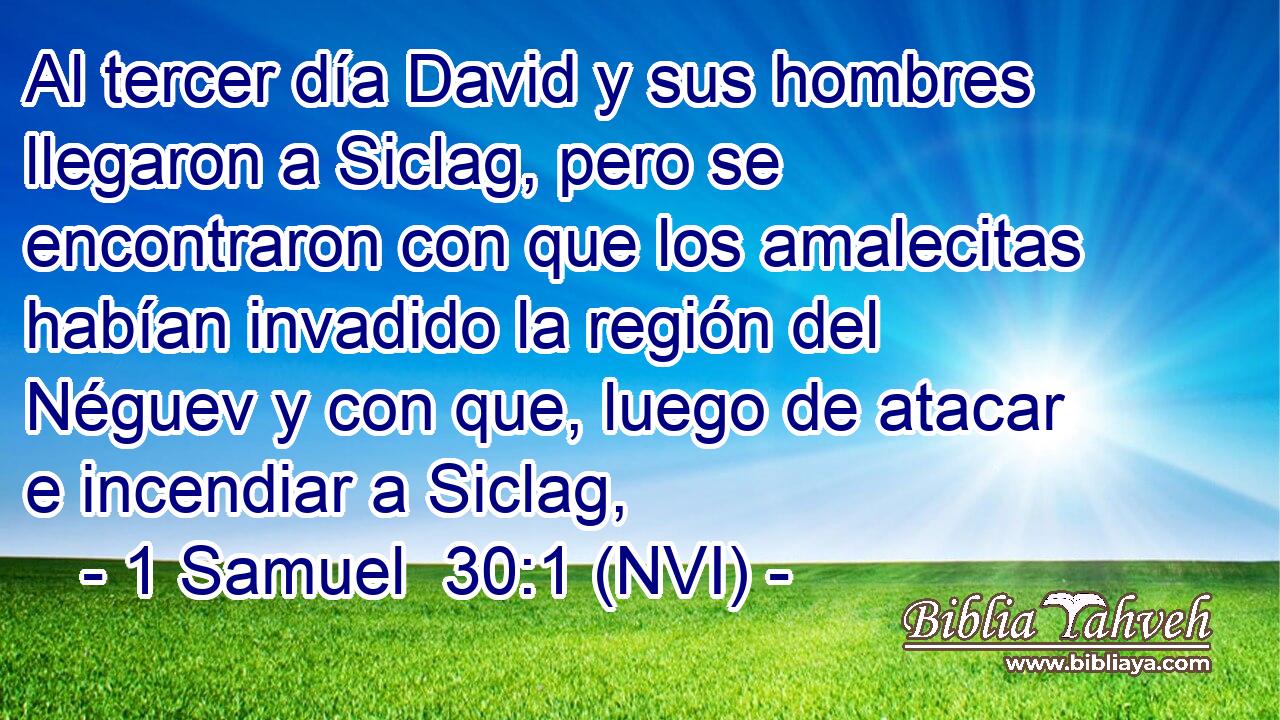  Al tercer día David y sus hombres llegaron a Siclag, pero se encontraron con que los amalecitas habían invadido la región del Néguev y con que, luego de atacar e incendiar a Siclag, 
