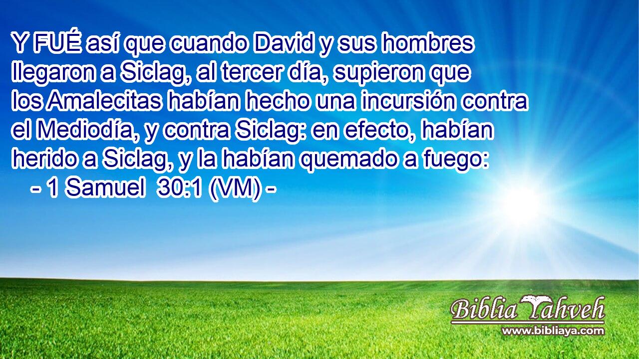  Y FUÉ así que cuando David y sus hombres llegaron a Siclag, al tercer día, supieron que los Amalecitas habían hecho una incursión contra el Mediodía, y contra Siclag: en efecto, habían herido a Siclag, y la habían quemado a fuego: 