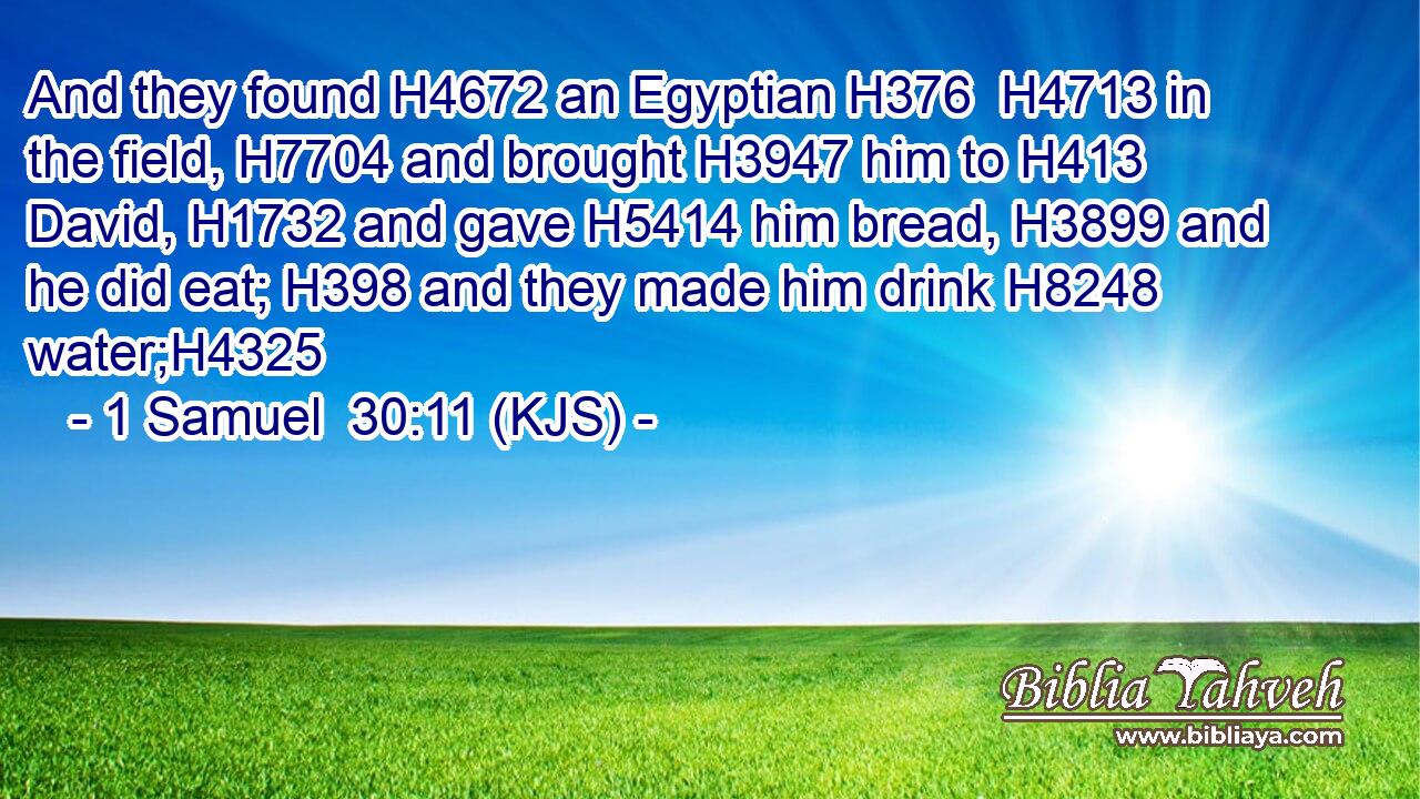 And they found H4672 an Egyptian H376  H4713 in the field, H7704 and brought H3947 him to H413 David, H1732 and gave H5414 him bread, H3899 and he did eat; H398 and they made him drink H8248 water;H4325