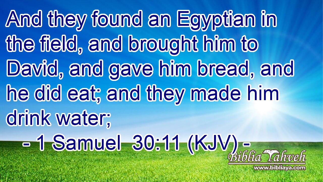 And they found an Egyptian in the field, and brought him to David, and gave him bread, and he did eat; and they made him drink water;
