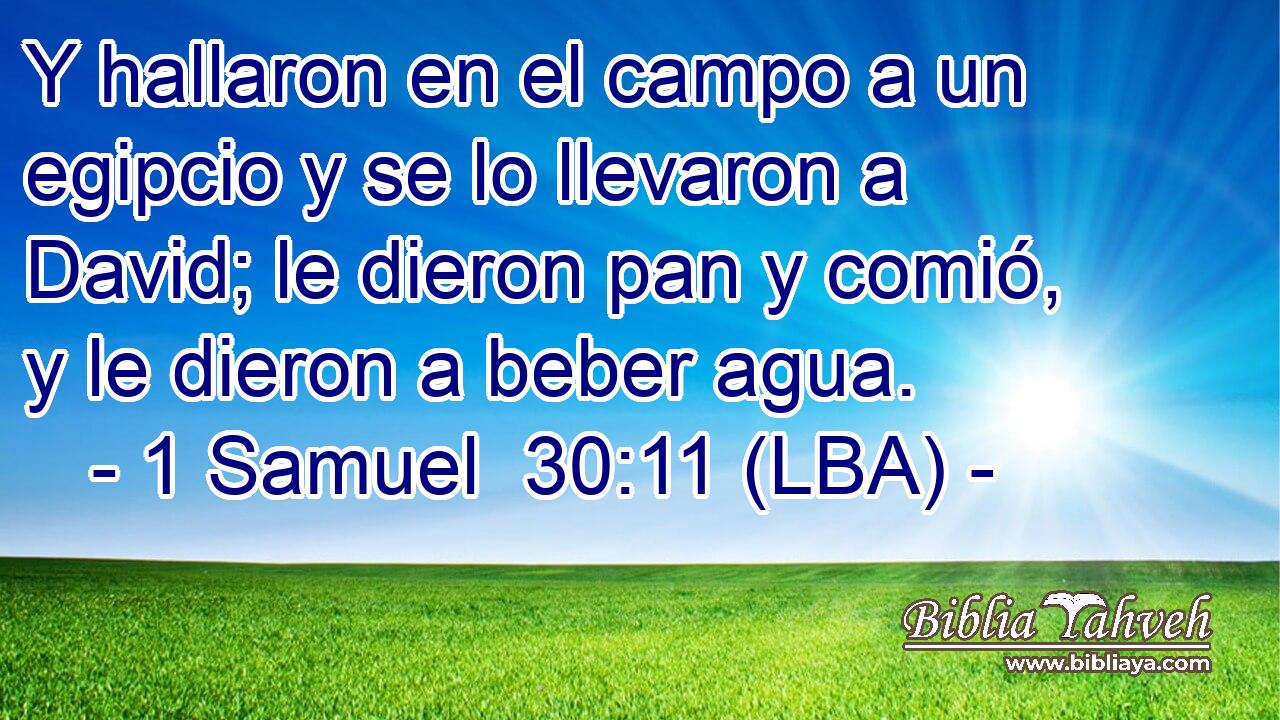 Y hallaron en el campo a un egipcio y se lo llevaron a David; le dieron pan y comió, y le dieron a beber agua.