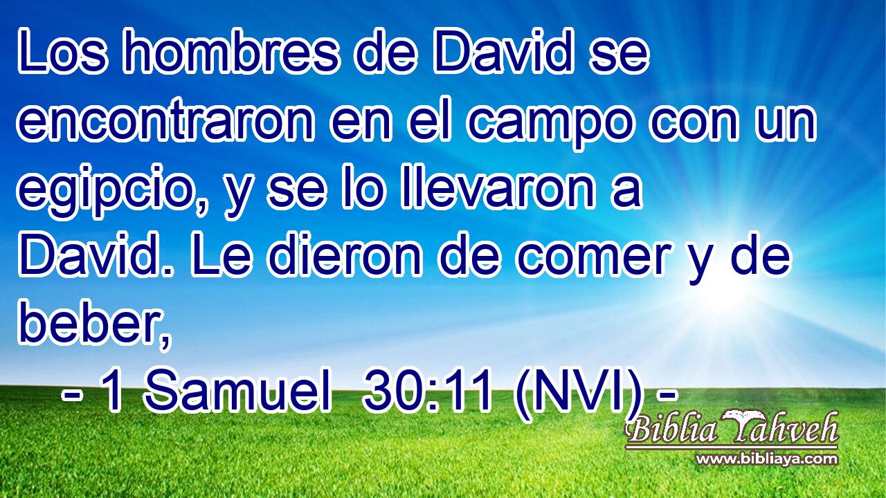 Los hombres de David se encontraron en el campo con un egipcio, y se lo llevaron a David. Le dieron de comer y de beber, 