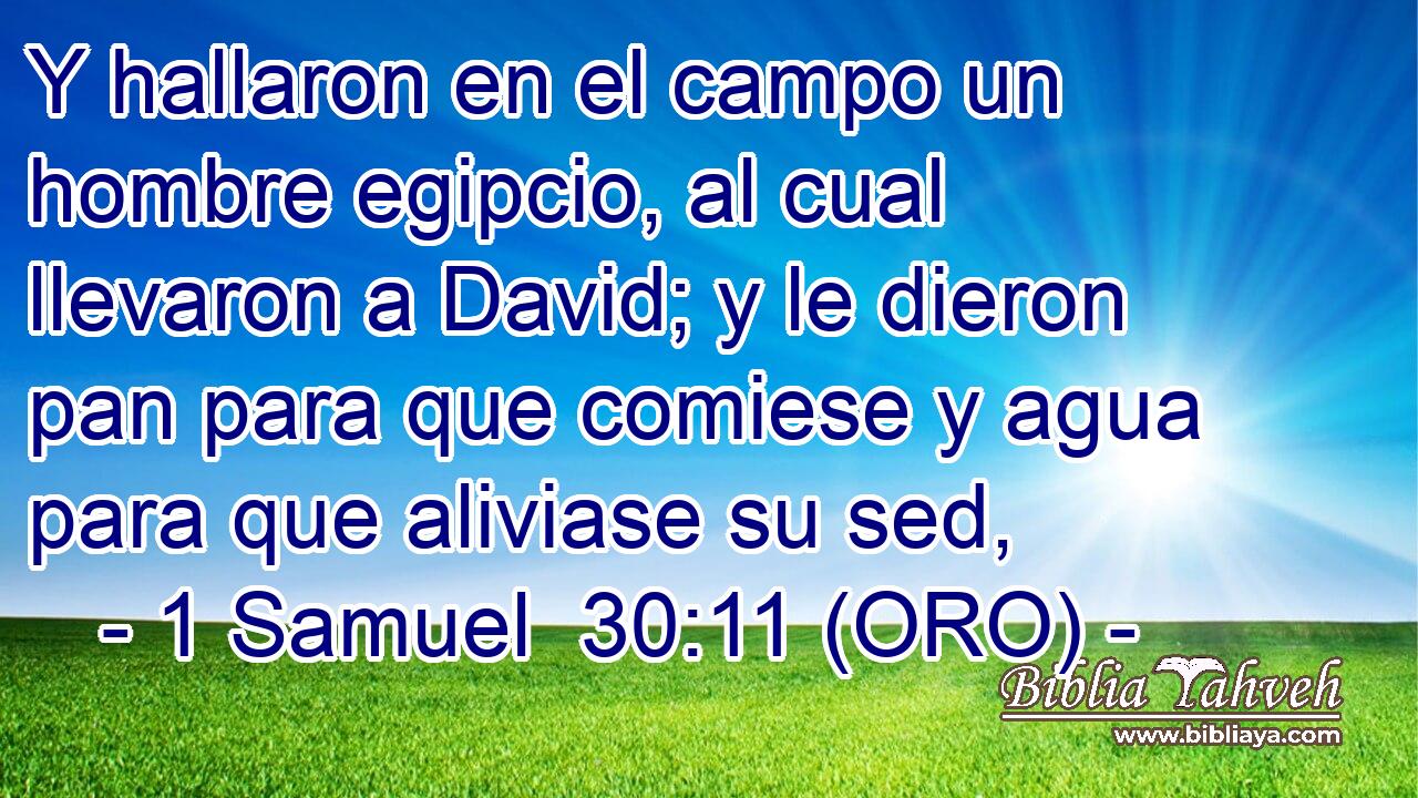  Y hallaron en el campo un hombre egipcio, al cual llevaron a David; y le dieron pan para que comiese y agua para que aliviase su sed, 