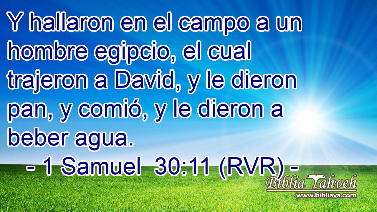 Y hallaron en el campo a un hombre egipcio, el cual trajeron a David, y le dieron pan, y comió, y le dieron a beber agua.