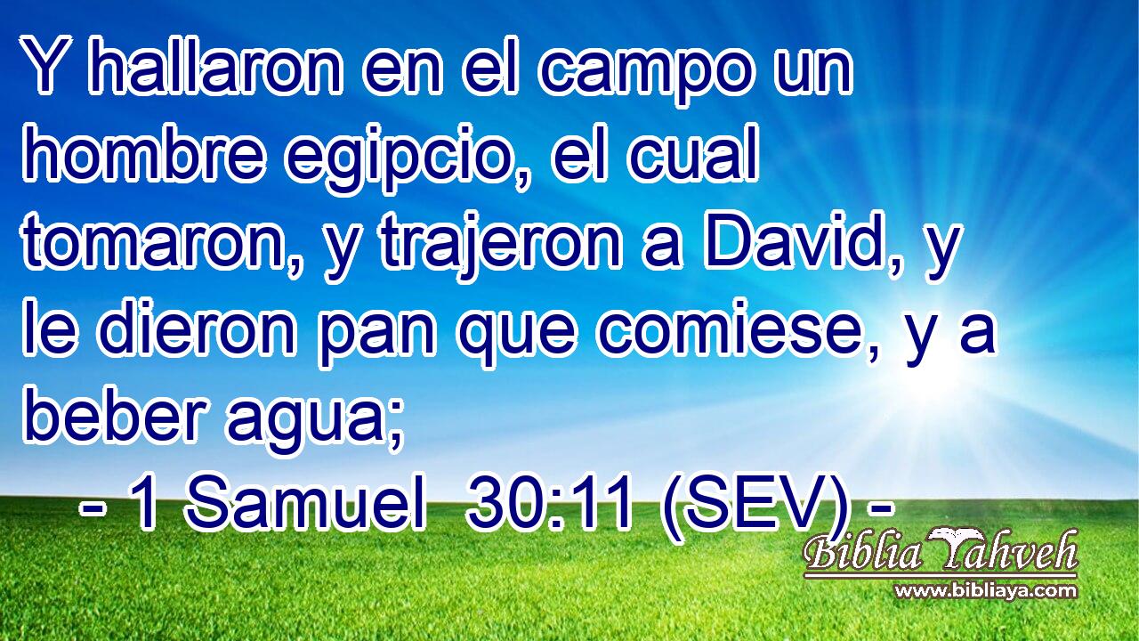 Y hallaron en el campo un hombre egipcio, el cual tomaron, y trajeron a David, y le dieron pan que comiese, y a beber agua;