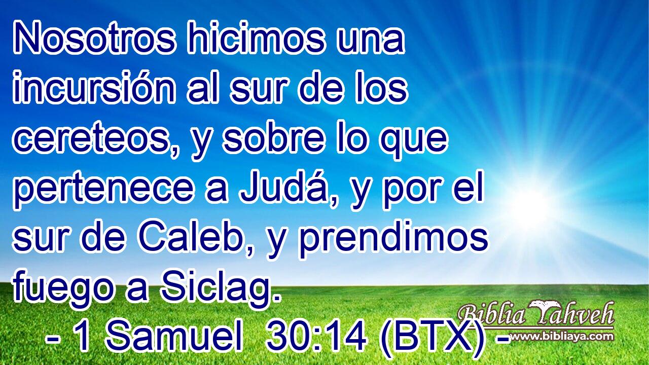 Nosotros hicimos una incursión al sur de los cereteos, y sobre lo que pertenece a Judá, y por el sur de Caleb, y prendimos fuego a Siclag.