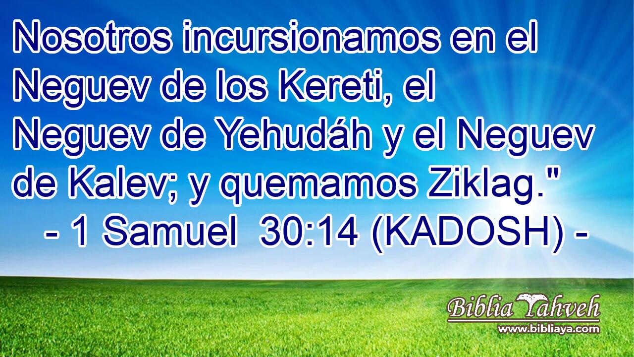  Nosotros incursionamos en el Neguev de los Kereti, el Neguev de Yehudáh y el Neguev de Kalev; y quemamos Ziklag.