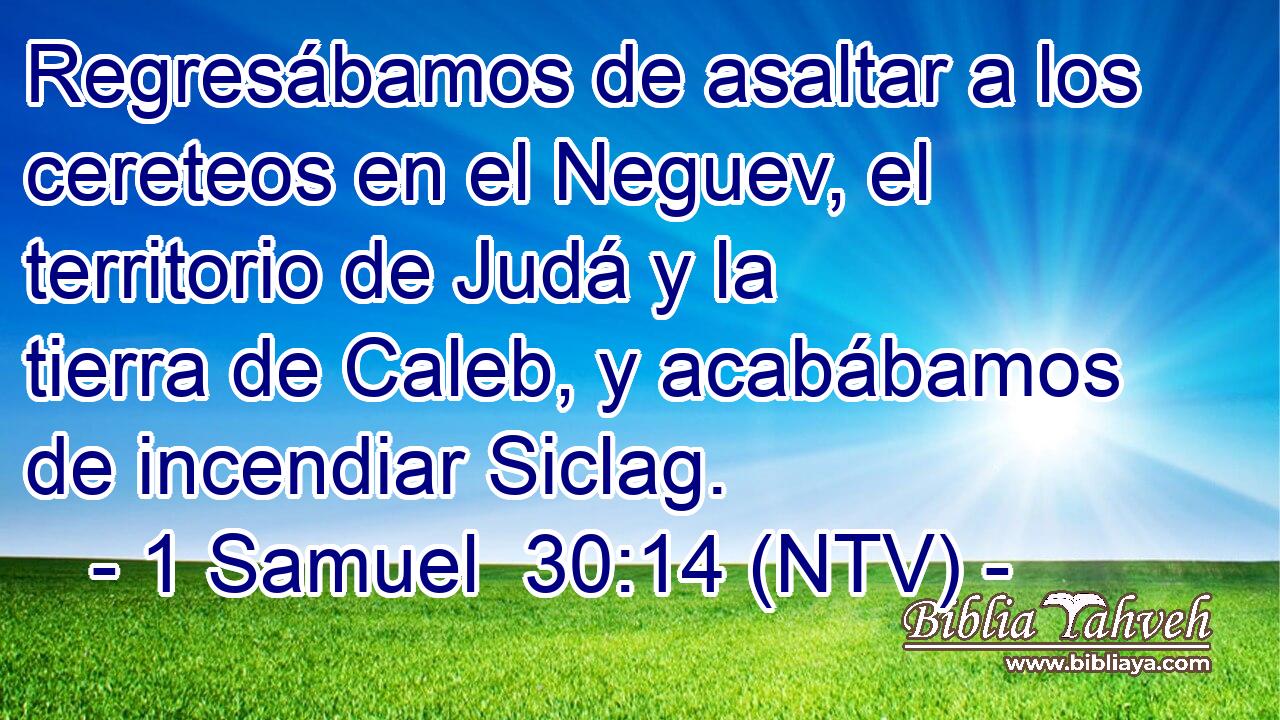 Regresábamos de asaltar a los cereteos en el Neguev, el territorio de Judá y la tierra de Caleb, y acabábamos de incendiar Siclag.