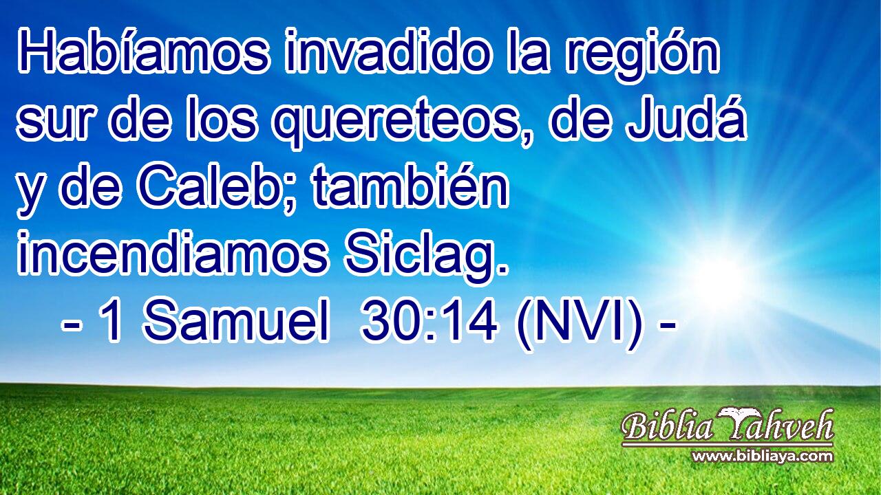  Habíamos invadido la región sur de los quereteos, de Judá y de Caleb; también incendiamos Siclag. 