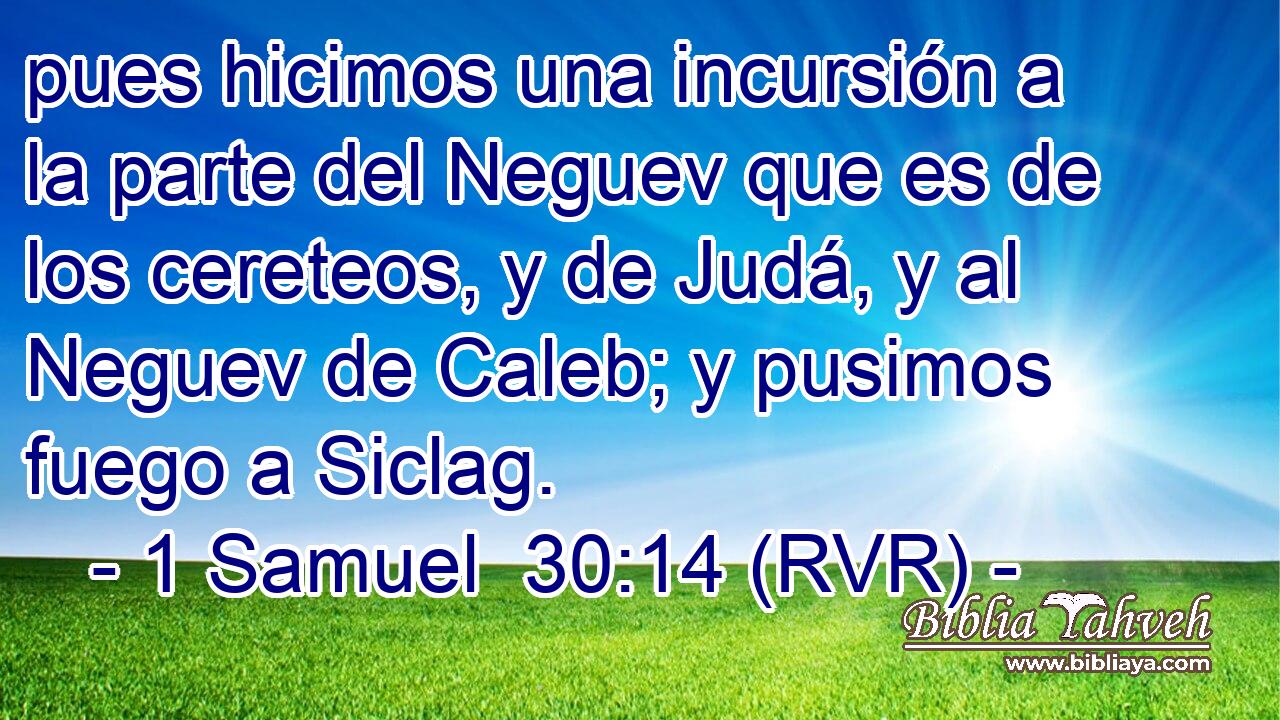 pues hicimos una incursión a la parte del Neguev que es de los cereteos, y de Judá, y al Neguev de Caleb; y pusimos fuego a Siclag.