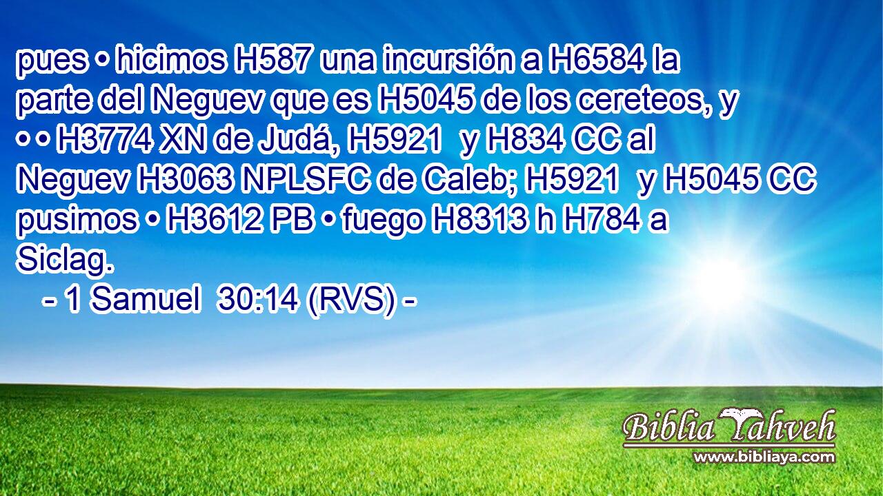 pues • hicimos H587 una incursión a H6584 la parte del Neguev que es H5045 de los cereteos, y • • H3774 XN de Judá, H5921  y H834 CC al Neguev H3063 NPLSFC de Caleb; H5921  y H5045 CC pusimos • H3612 PB • fuego H8313 h H784 a Siclag. 
