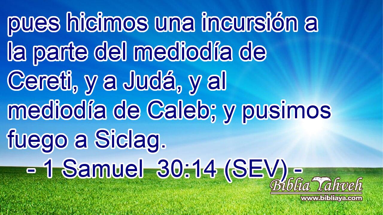 pues hicimos una incursión a la parte del mediodía de Cereti, y a Judá, y al mediodía de Caleb; y pusimos fuego a Siclag.