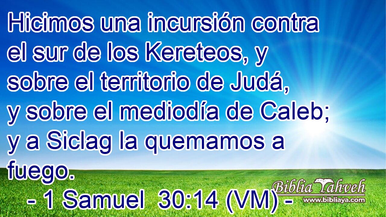  Hicimos una incursión contra el sur de los Kereteos, y sobre el territorio de Judá, y sobre el mediodía de Caleb; y a Siclag la quemamos a fuego. 