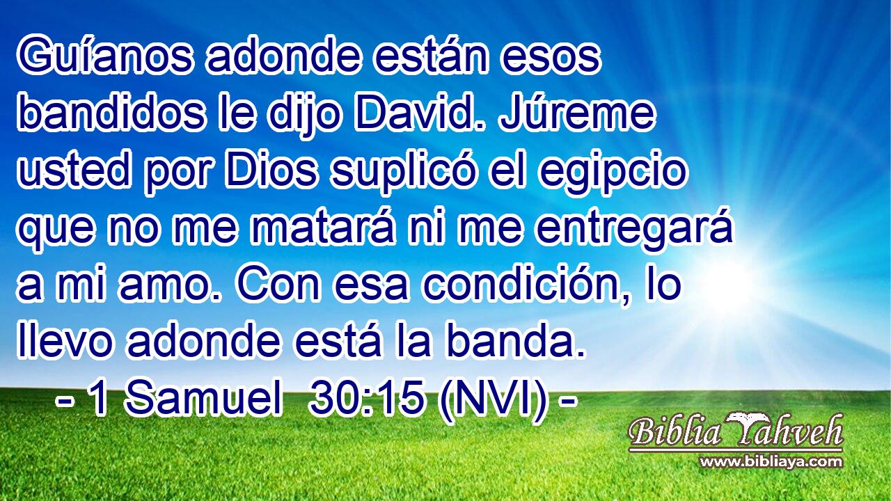  Guíanos adonde están esos bandidos le dijo David. Júreme usted por Dios suplicó el egipcio que no me matará ni me entregará a mi amo. Con esa condición, lo llevo adonde está la banda. 