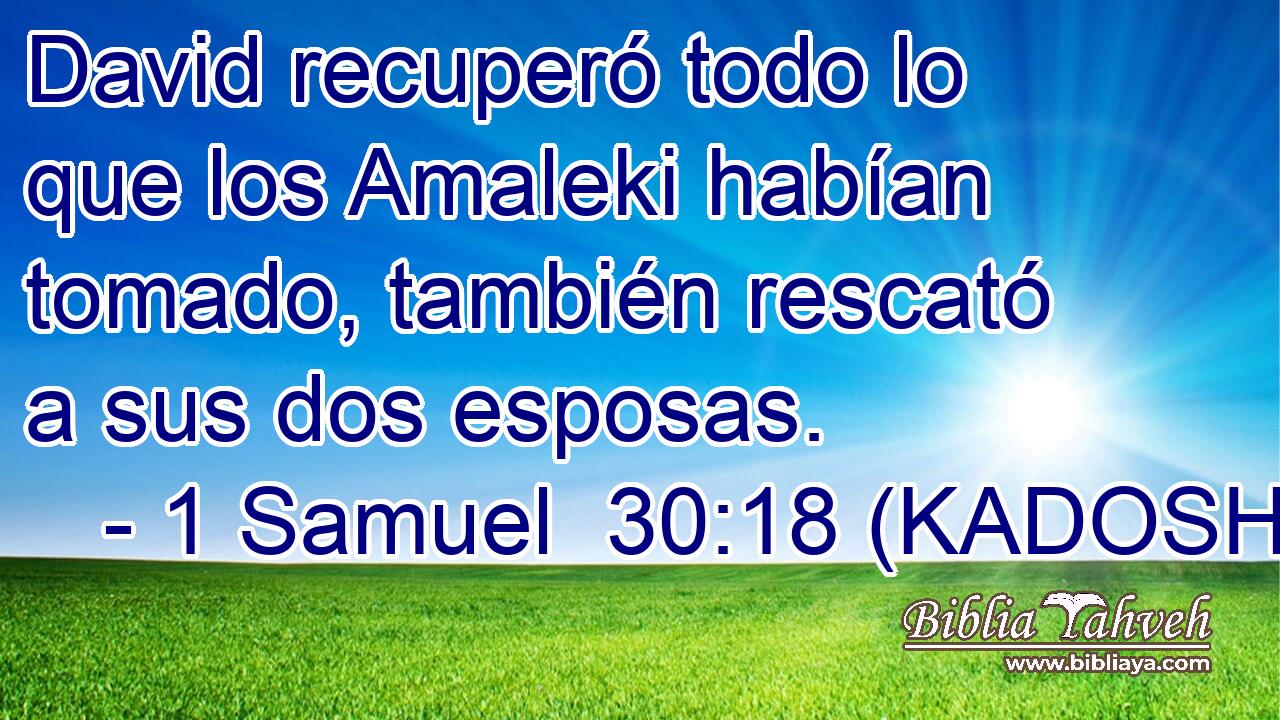  David recuperó todo lo que los Amaleki habían tomado, también rescató a sus dos esposas. 