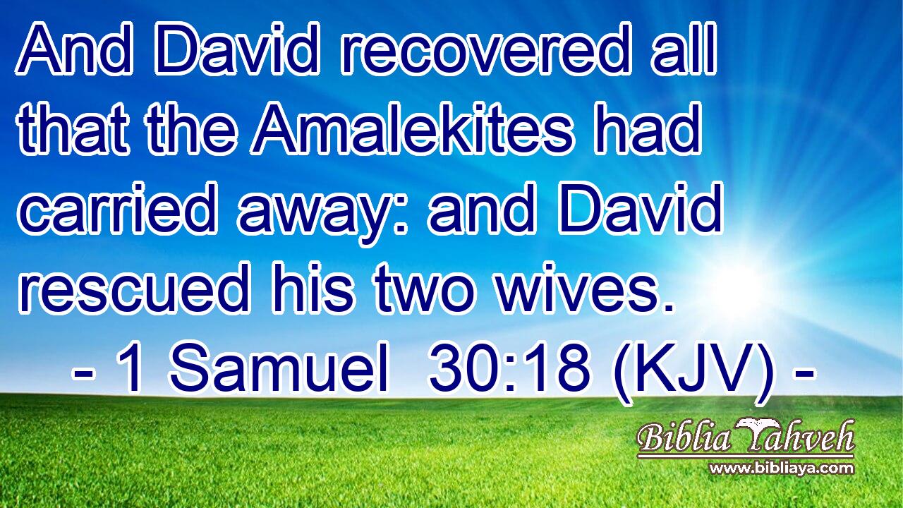And David recovered all that the Amalekites had carried away: and David rescued his two wives.