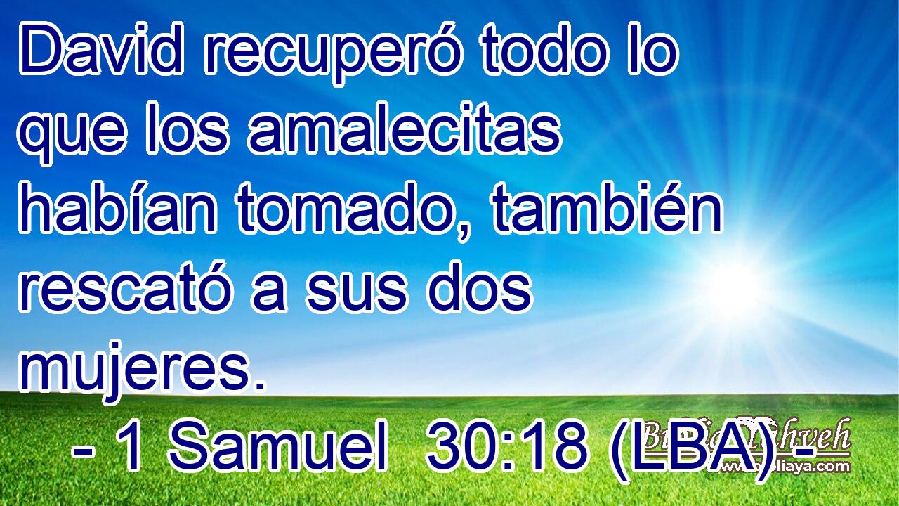 David recuperó todo lo que los amalecitas habían tomado, también rescató a sus dos mujeres.