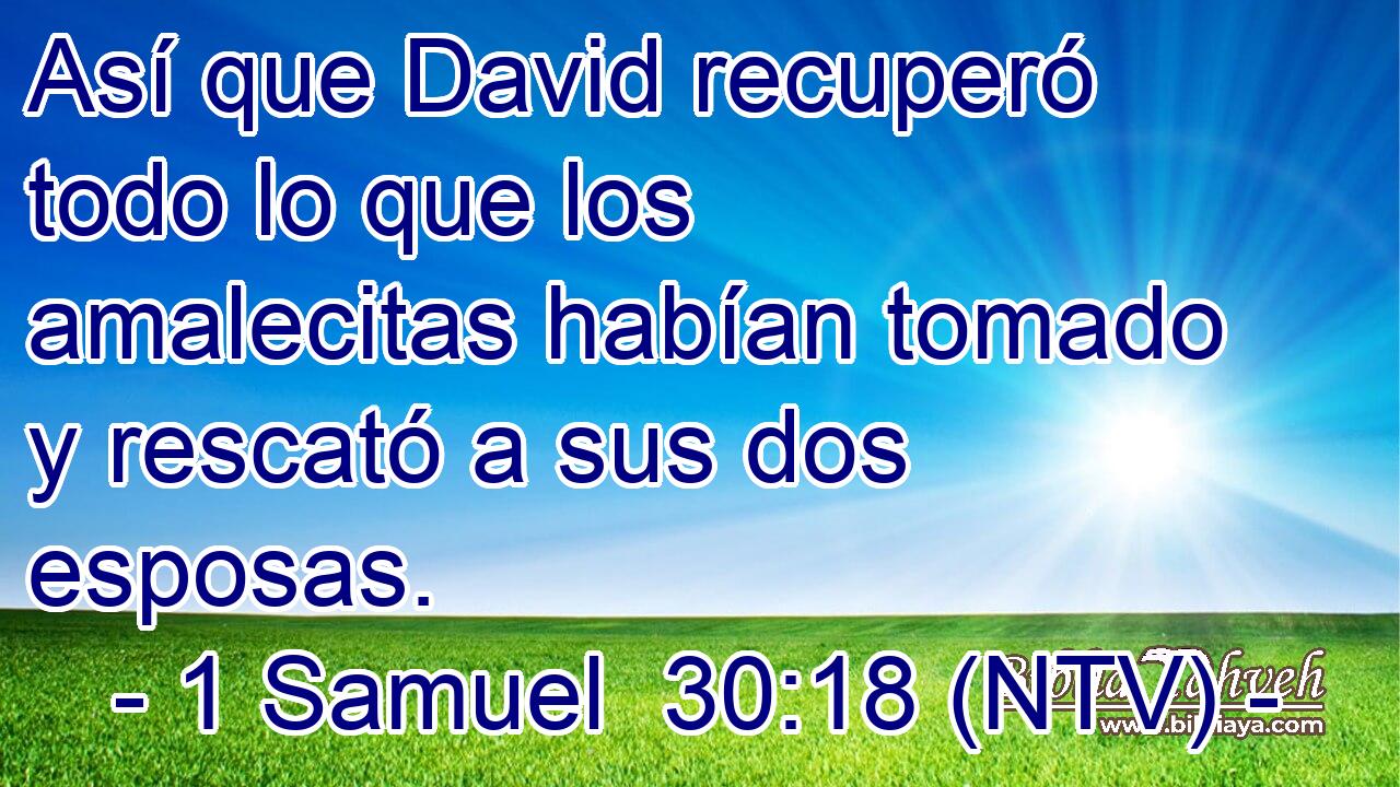 Así que David recuperó todo lo que los amalecitas habían tomado y rescató a sus dos esposas.