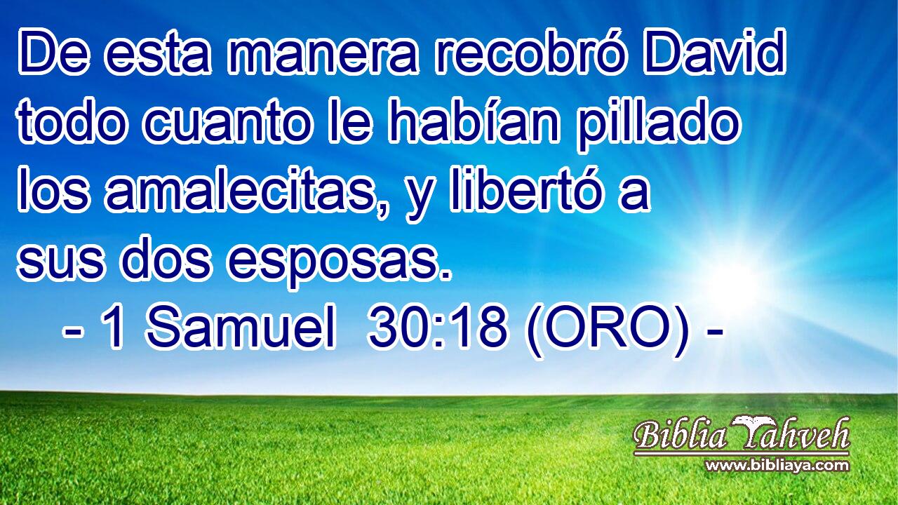  De esta manera recobró David todo cuanto le habían pillado los amalecitas, y libertó a sus dos esposas. 