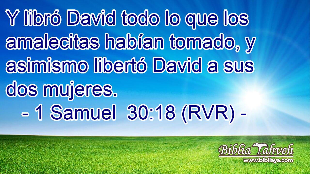 Y libró David todo lo que los amalecitas habían tomado, y asimismo libertó David a sus dos mujeres.