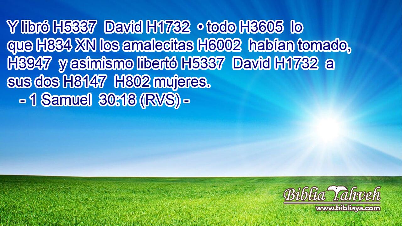 Y libró H5337  David H1732  • todo H3605  lo que H834 XN los amalecitas H6002  habían tomado, H3947  y asimismo libertó H5337  David H1732  a sus dos H8147  H802 mujeres. 