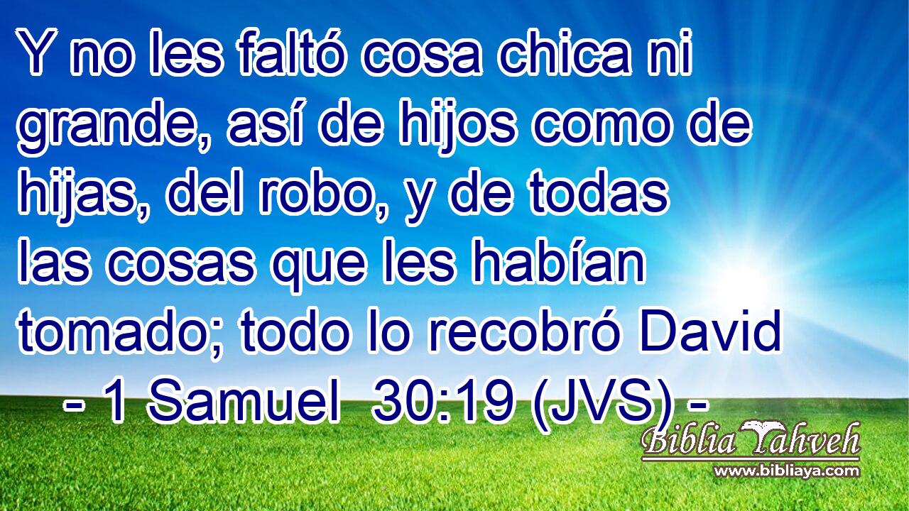 Y no les faltó cosa chica ni grande, así de hijos como de hijas, del robo, y de todas las cosas que les habían tomado; todo lo recobró David