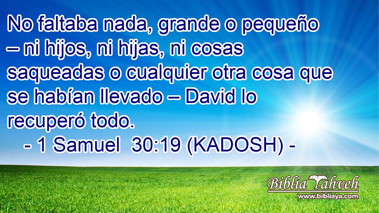  No faltaba nada, grande o pequeño – ni hijos, ni hijas, ni cosas saqueadas o cualquier otra cosa que se habían llevado – David lo recuperó todo. 