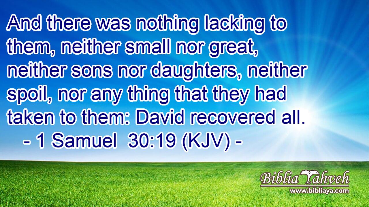 And there was nothing lacking to them, neither small nor great, neither sons nor daughters, neither spoil, nor any thing that they had taken to them: David recovered all.