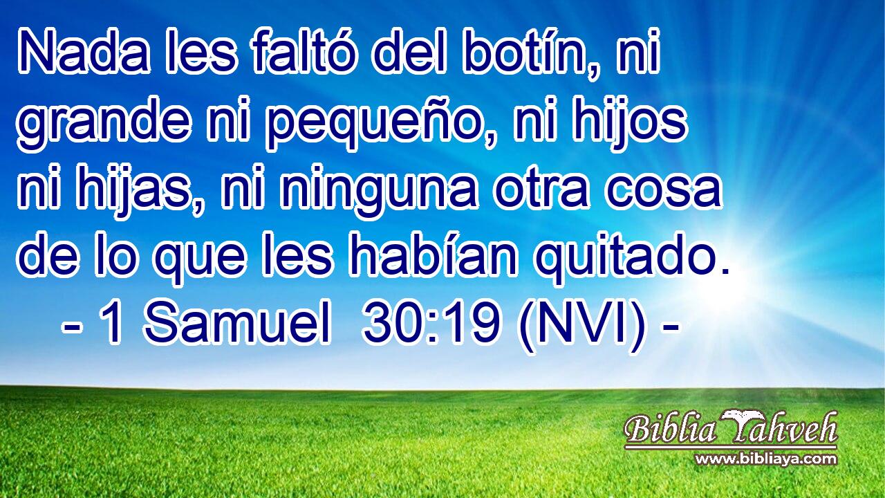  Nada les faltó del botín, ni grande ni pequeño, ni hijos ni hijas, ni ninguna otra cosa de lo que les habían quitado. 