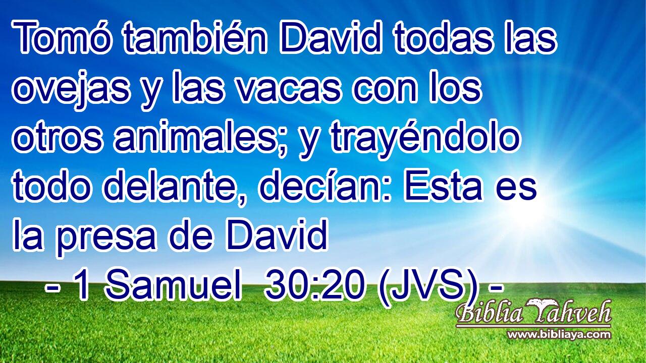 Tomó también David todas las ovejas y las vacas con los otros animales; y trayéndolo todo delante, decían: Esta es la presa de David
