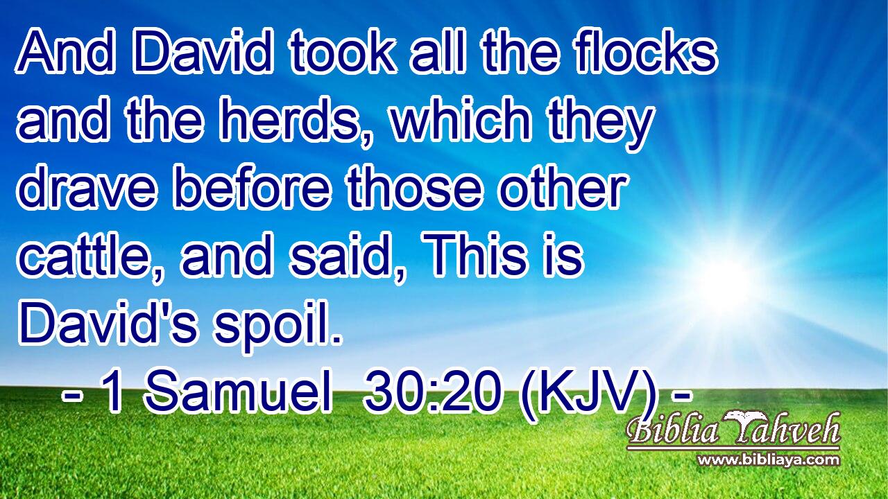 And David took all the flocks and the herds, which they drave before those other cattle, and said, This is David's spoil.