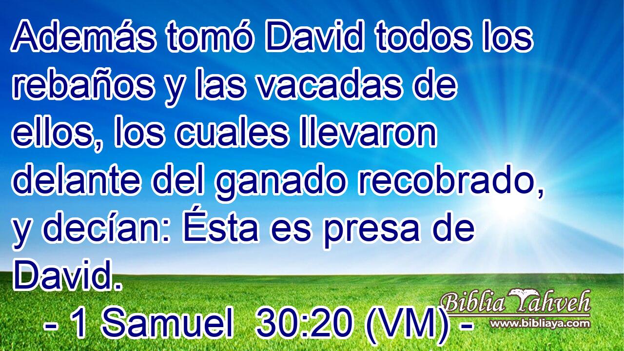  Además tomó David todos los rebaños y las vacadas de ellos, los cuales llevaron delante del ganado recobrado, y decían: Ésta es presa de David. 