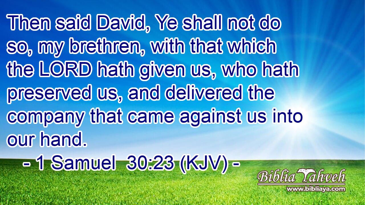 Then said David, Ye shall not do so, my brethren, with that which the LORD hath given us, who hath preserved us, and delivered the company that came against us into our hand.