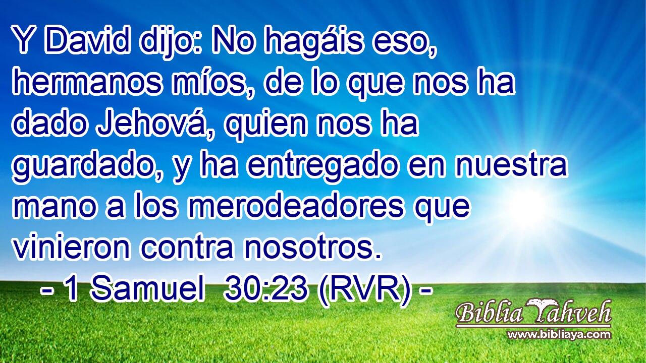 Y David dijo: No hagáis eso, hermanos míos, de lo que nos ha dado Jehová, quien nos ha guardado, y ha entregado en nuestra mano a los merodeadores que vinieron contra nosotros.